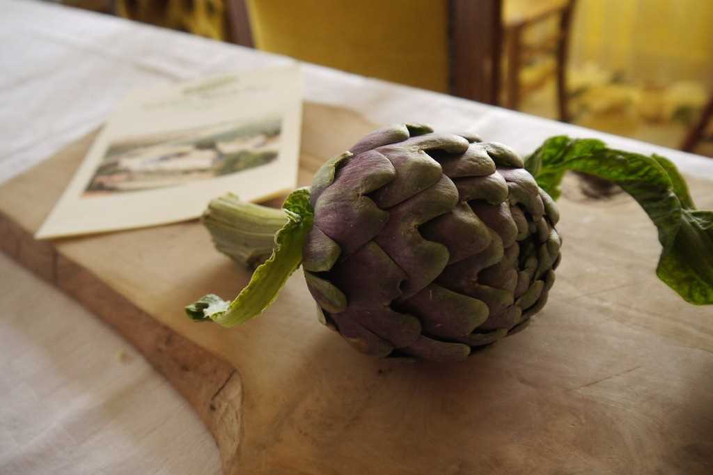 Recipes typical of Molise